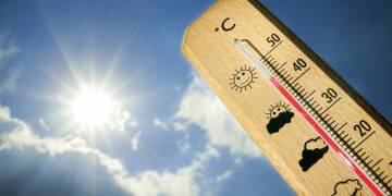 De gevolgen van (te) warm zomerweer