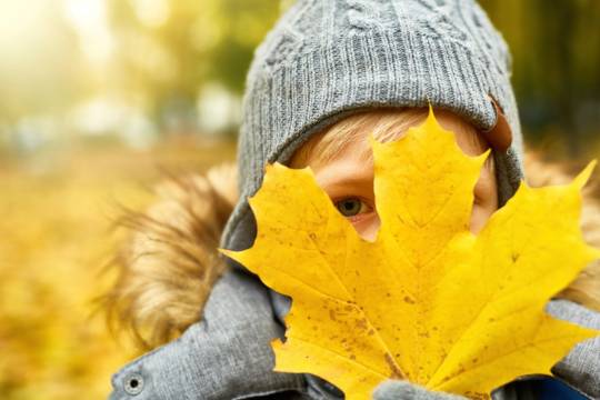 Decoratieve afbeelding: Een foto van een kind wat een blaadje van de boom voor zijn gezicht houdt