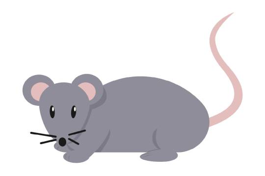 Getekende foto van een muis