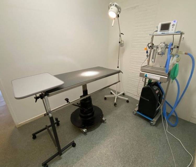 dierenartspraktijk Ruinen