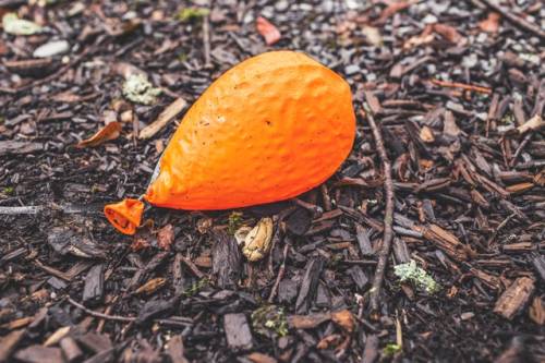 Een bijna lege ballon ligt als zwerfafval op de grond