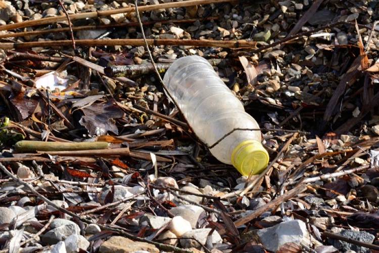 Plastic flesje in de natuur