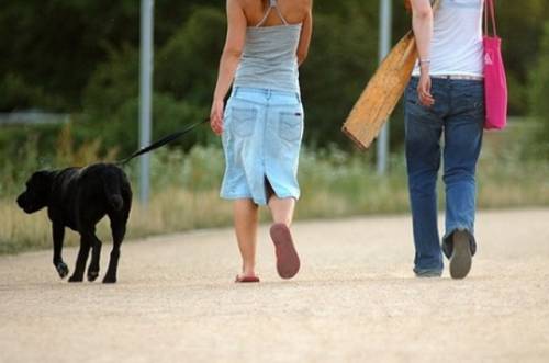 Twee mensen wandelen met een hond